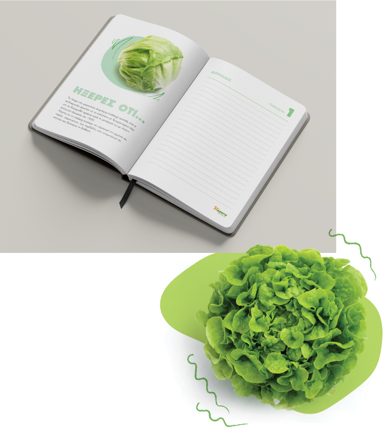 Planner's layout - Fun facts about vegetables (here lettuce). Concept and design by The Blank Sheep.