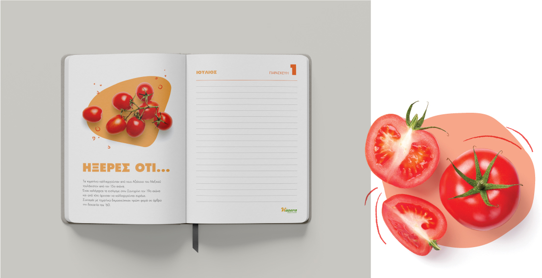 Planner's layout - Fun facts about vegetables (here tomato). Concept and design by The Blank Sheep.