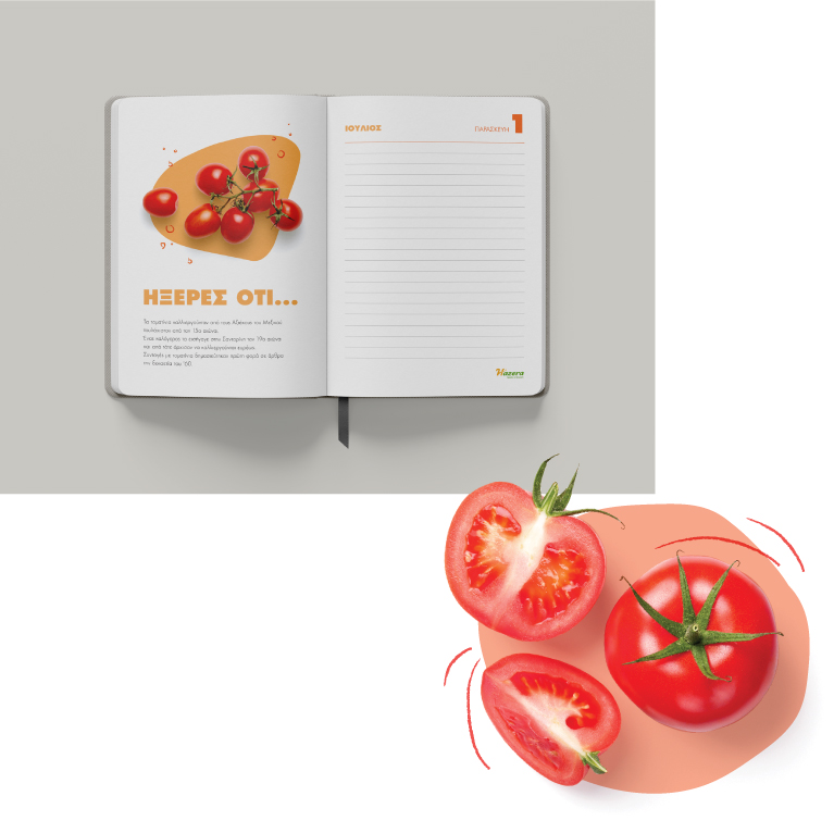 Planner's layout - Fun facts about vegetables (here tomato). Concept and design by The Blank Sheep.