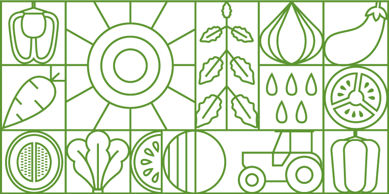 Minimal pattern of vegetable icons for Hazera's campaign. Designed by The Blank Sheep