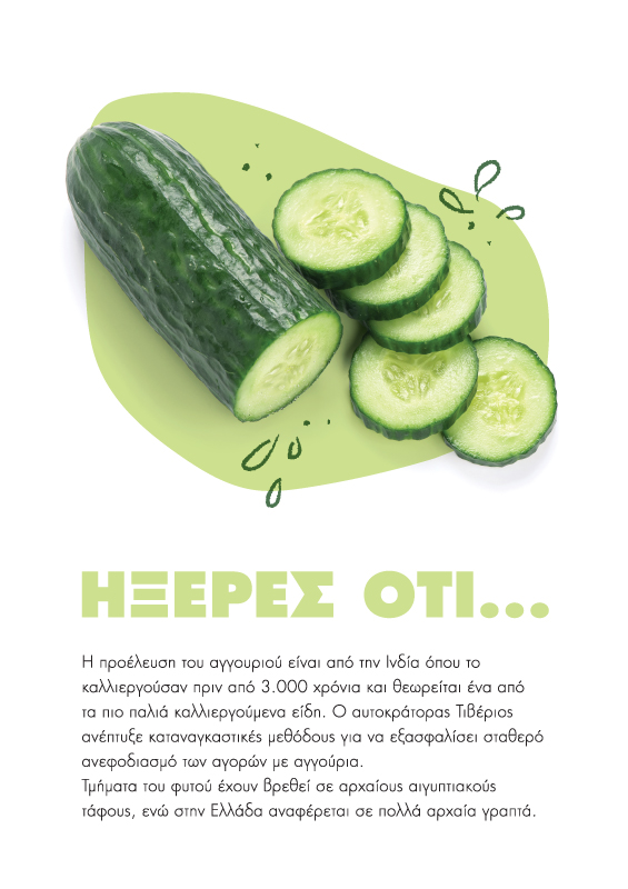 Planner's page layout - Fun facts about vegetables (here cucumber). Concept and design by The Blank Sheep.