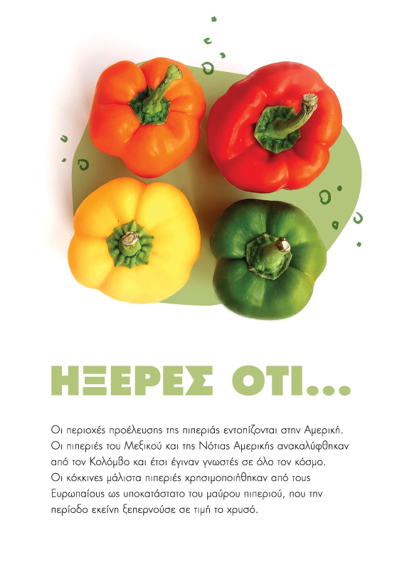 Planner's page layout - Fun facts about vegetables (here bell pepper). Concept and design by The Blank Sheep.