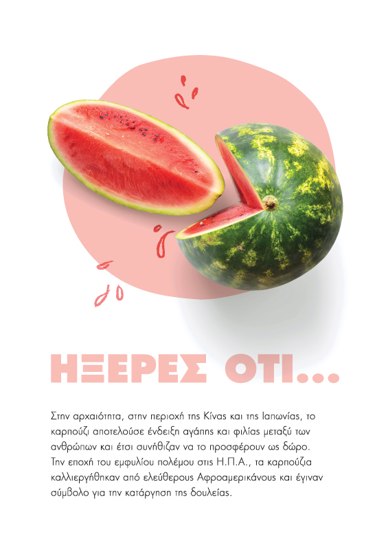 Planner's page layout - Fun facts about vegetables (here watermelon). Concept and design by The Blank Sheep.