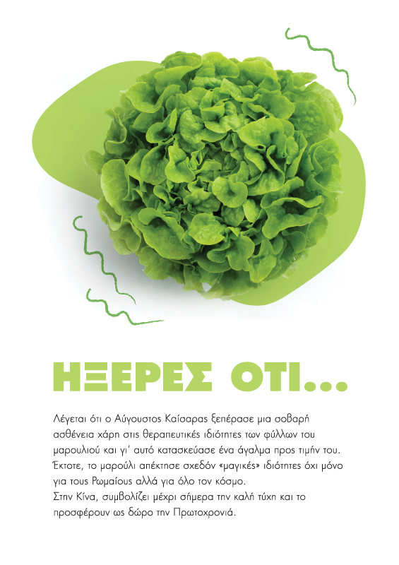 Planner's page layout - Fun facts about vegetables (here lettuce). Concept and design by The Blank Sheep.