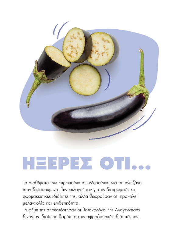 Planner's page layout - Fun facts about vegetables (here eggplant). Concept and design by The Blank Sheep.