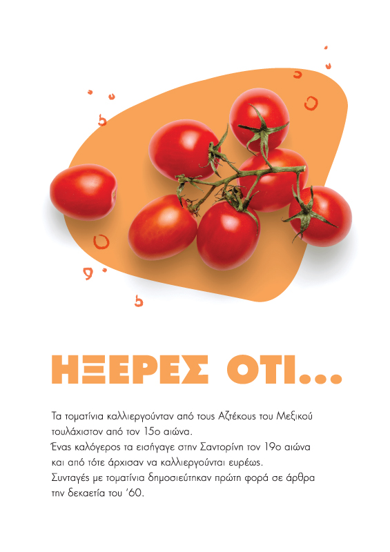 Planner's page layout - Fun facts about vegetables (here cherry tomato). Concept and design by The Blank Sheep.